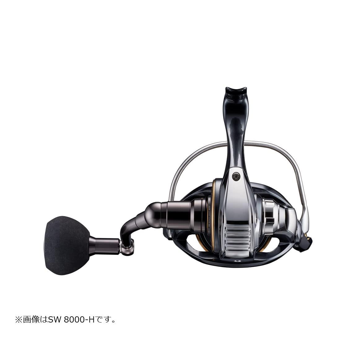 Daiwa Spinning Reel 22 Cardia SW 6000S-H (2022 Model) : Amazon.ca